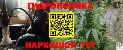 спиды Обь