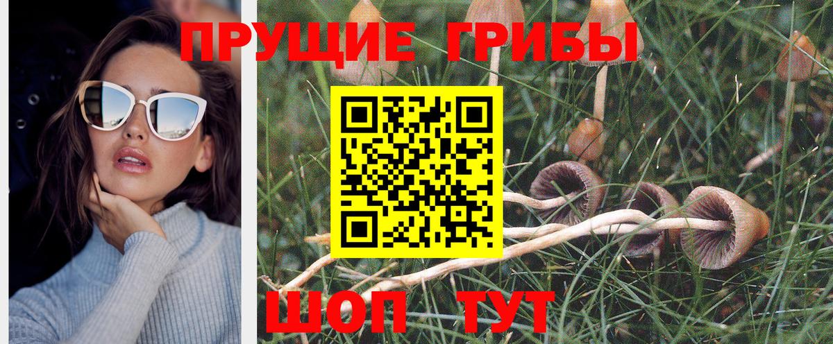 Галлюциногенные грибы ЛСД Анжеро-Судженск