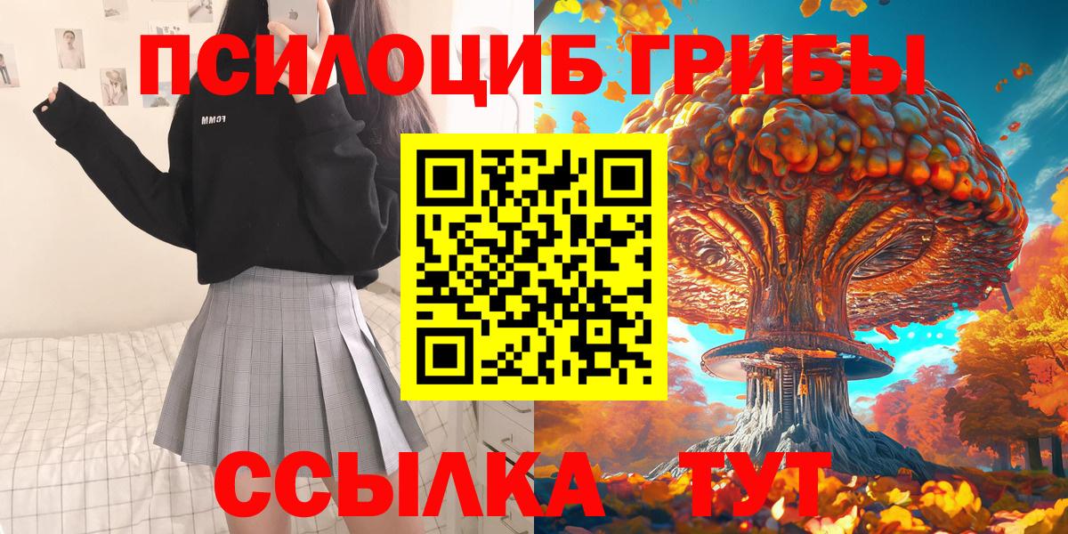 Анжеро-Судженск  Псилоцибиновые грибы мицелий  Вход с VPN 